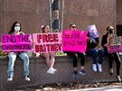 Fanouci Britney Spears podporují zpvaku v boji proti opatrovnictví jejího...