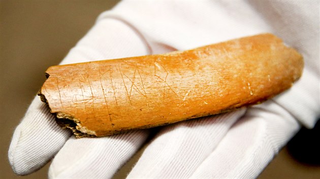 Detail zvířecího žebra popsaného germánskými znaky, které archeologové objevili na slovanském nalezišti.
