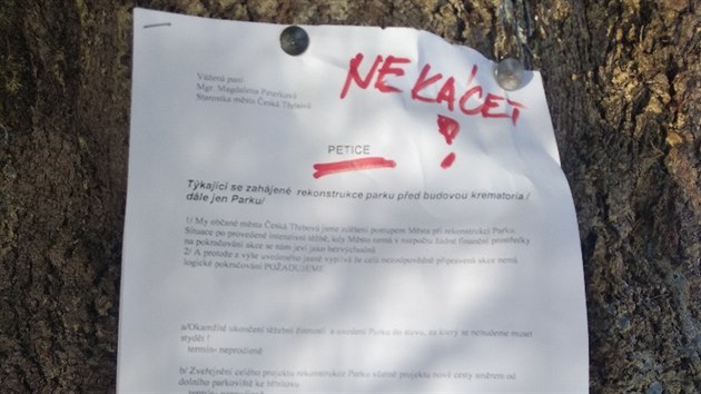Lidé v České Třebové jsou rozhořčeni masivním kácením v parku před krematoriem.