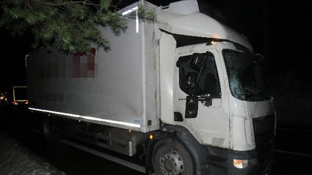 Kůň nepřežil střet s nákladním autem u Býště (17. února 2021).