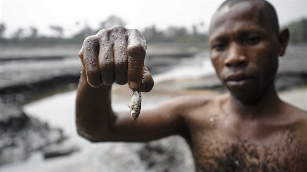 Nigerijsk ryb ukazuje svj skromn lovek pobl Goi v Ogonilandu v Nigrii. 