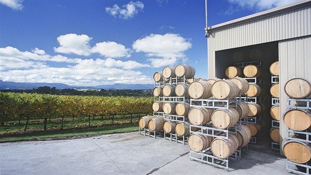 Víno uložené v sudech na vinici v údolí Yarra v australské Victorii