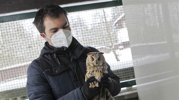 ��f Z�chrann� stanice v Pavlov� Zby�ek Karafi�t ukazuje jednoho z kalous� u�at�ch, kter� se zotavuje ze sv�ho zran�n�. Na ja�e ho vypust� zp�t do voln� p��rody, stejn� jako n�kter� dal�� dravce nebo sovy ve stanici.