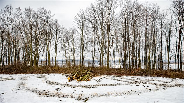 Na louce u Spyty nizozemský investor plánuje rekreační vesničku s dvaceti sruby (3. 2. 2021).