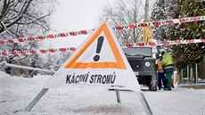 D�evorubci kácí stromy u cyklostezky.