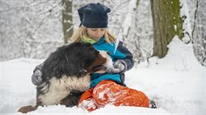 Dti i psi hry na snhu milují. Pokud je istý, nevadí ani, kdy pes njaký...