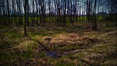 Cholupický mok�ad