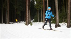 Bkai si mohou u Vysoina Areny vyzkouet 1,2 kilometru dlouhý úsek...