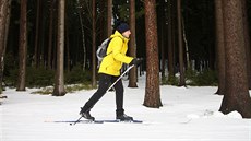 Bkai si mohou u Vysoina Areny vyzkouet 1,2 kilometru dlouhý úsek...