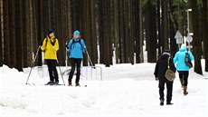 Zpístupnná tra v jednom míst kíí cyklostezku spojující arénu s Novým...