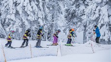 V zimním st�edisku Zieleniec, kam si vyrazila zaly�ovat i �ada �echu, se...