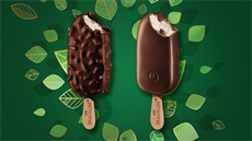 Vegan Magnum