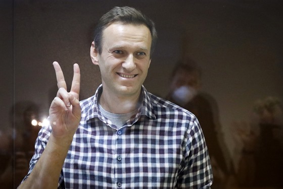 Ruský vdce opozice Alexej Navalnyj stojí v kleci u Babukinského okresního...