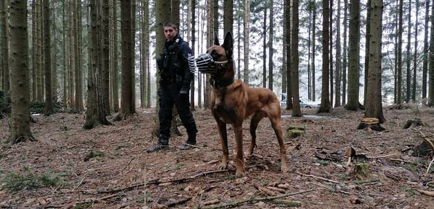 Poranného mladíka nakonec nael policejní pes.