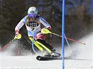 Wendy Holdenerová ve slalomu na MS v Cortin d'Ampezzo.
