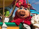 Piggy z Mupet v Disneylandu