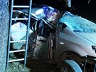 Na Berounsku havaroval idi s autem do stromu, nehodu nepeil (24.2.2021)
