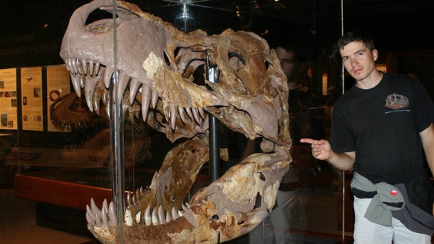 Paleontolog Vladimír Socha u největší lebky tyranosaura Rexe.