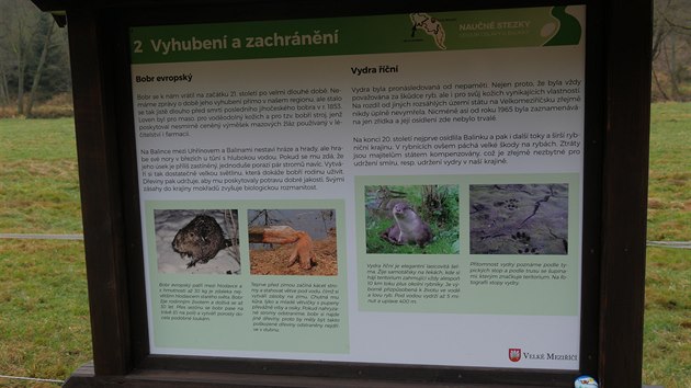 V údolí Balinky poblíž Velkého Meziříčí na opětovný výskyt bobrů upozorňují i informační tabule.