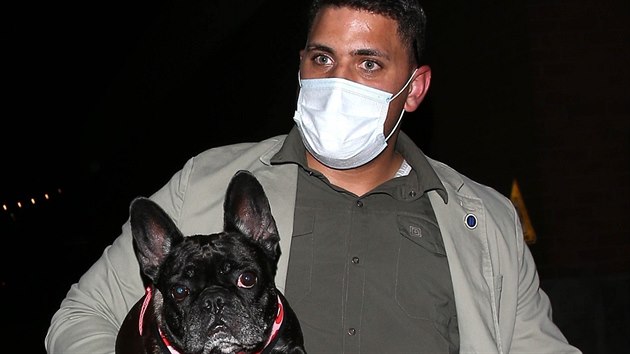 Psa jménem Miss Asia, který při přepadení utekl, vyzvedl později v noci bodyguard zpěvačky Lady Gaga na policejní stanici (25. února 2021)