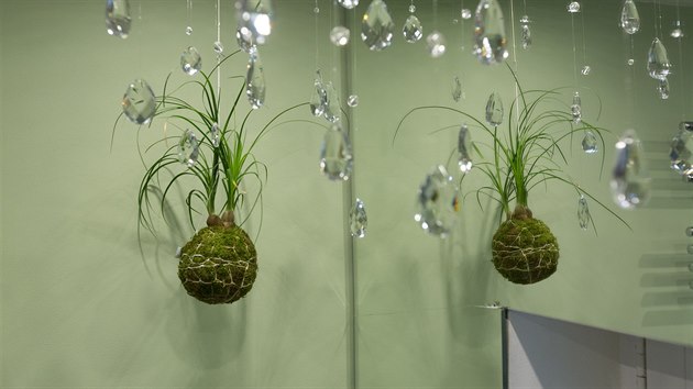 Výraznou dekorací je „tropický déšť“. Jsou to průhledné krystaly zavěšené na drátěné síti připevněné na stropě. 