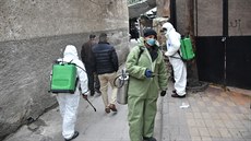 Pracovníci sterilizují ulice v syrském Damaku. (29. prosince 2020)