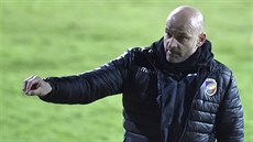 Plzeský trenér Adrián Gua bhem zápasu proti Brnu