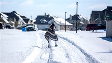 Mu prochází zmrzlou ulicí v texaském mst Pflugerville. (15. února 2021)