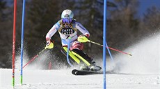 Wendy Holdenerová ve slalomu na MS v Cortině d'Ampezzo.