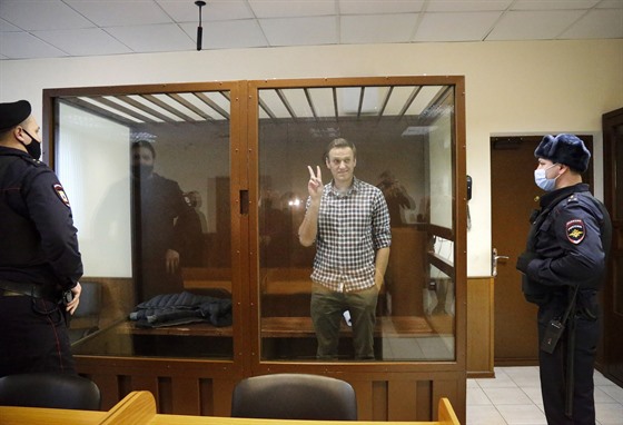 Ruský vdce opozice Alexej Navalnyj stojí v kleci u Babukinského okresního...
