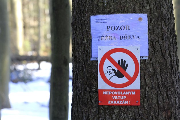 Tí se i v okolí Devíti skal, nejvyího vrcholu árských vrch. Lidé, kteí...