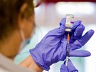 Zamstnanci paíské nemocnice Ambroise Pare dostávají vakcínu AstraZeneca....