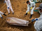 Pracovníci pohbívají obti covidu-19 na hbitov v brazilském Manausu. (1....
