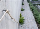 Pístup ke spolené zahrad pro majitele byt ve vyích patrech ze strany od...