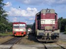 Motorový vz 810.226 a lokomotiva 742.348 v ele zvlátního osobního vlaku ve...