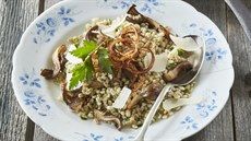 Kroupy s hl�vou �st�i�nou