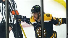 David Pastr�ák z Bostonu se raduje z gólu v zápase s Washingtonem,