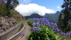 Sí� otev�ených zavla�ovacích kanál�, tzv. levád, vede vodu z hor do su��ích...