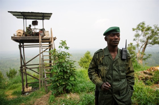 Strážci národního parku Virunga v Kongu mají jednu z nejtěžších prací na světě.