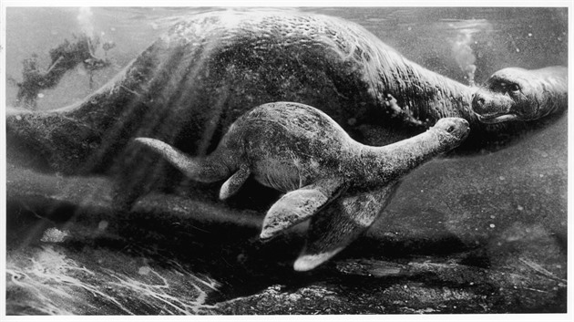 Ve Skotsku chystají velké pátrání po lochnesce. Zapojit se mohou všichni