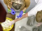 Zdravotn sestry pipravuj dvky vakcny v novm okovacm centru v chebskm...