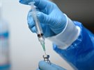 Píprava vakcíny Pfizer/BioNTech pro okování