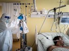 Léka se stará o pacienta hospitalizovaného s covidem na JIP v Nemocnici...