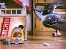 PÍRODA (SÉRIE):  © Jasper Doest; Pár divokých holub se spátelil s rodinou...