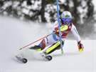 Wendy Holdenerová ve slalomu v Aare.