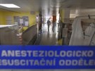 Covidové oddlení ARO v Nemocnici Znojmo na snímku z 18. bezna 2021, kde...