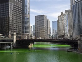 Zeleně byla obarvena řeka Chicago. Starostka Lori Lightfoot zvrátila dřívější...