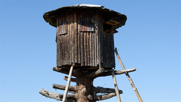 Šestiboký tatranský stařeček s šindelovou střechou,  za jehož mládí byl smrk ještě živý a statný (Štola, okres Poprad)