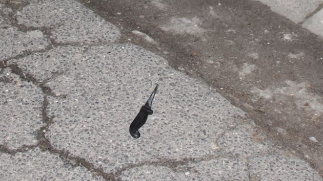 Nůž, který muž v Ostravě - Michálkovicích vyhodil z okna na ulici. (9. března 2021)