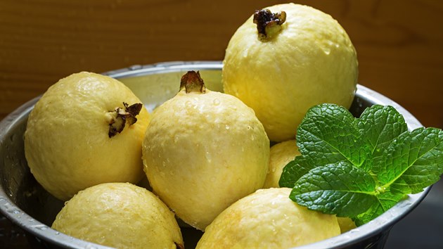 Plod kvajávy (Psidium guajava) obsahuje až pětkrát více vitaminu C než citron. 